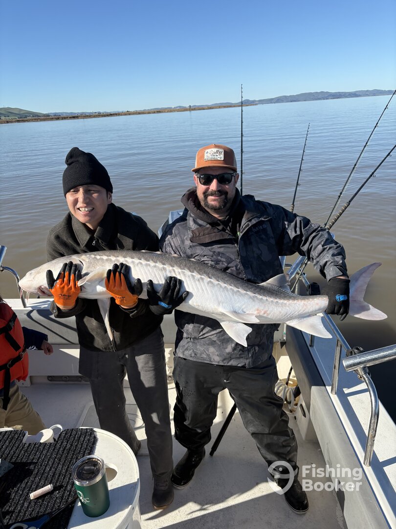 Berkeley Report Photo 0