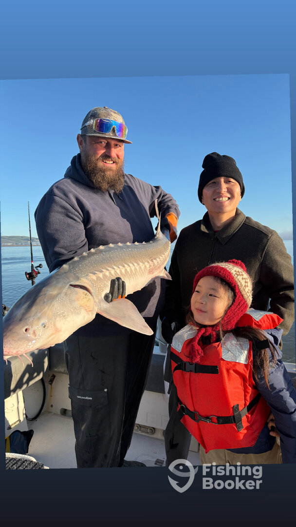 Northern California Report Photo 0