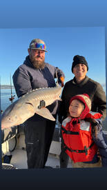 Berkeley Report Photo 2