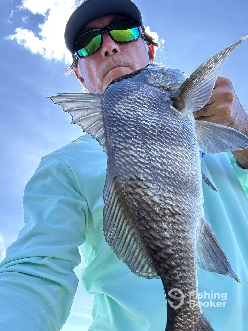 Panacea Report Photo 0