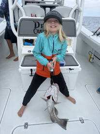 Englewood Report Photo 2