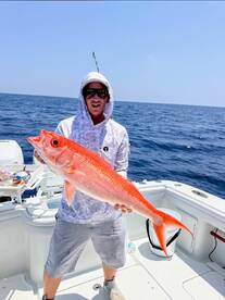 Englewood Report Photo 1