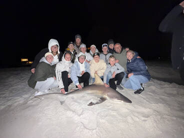 We catch sharks all winter