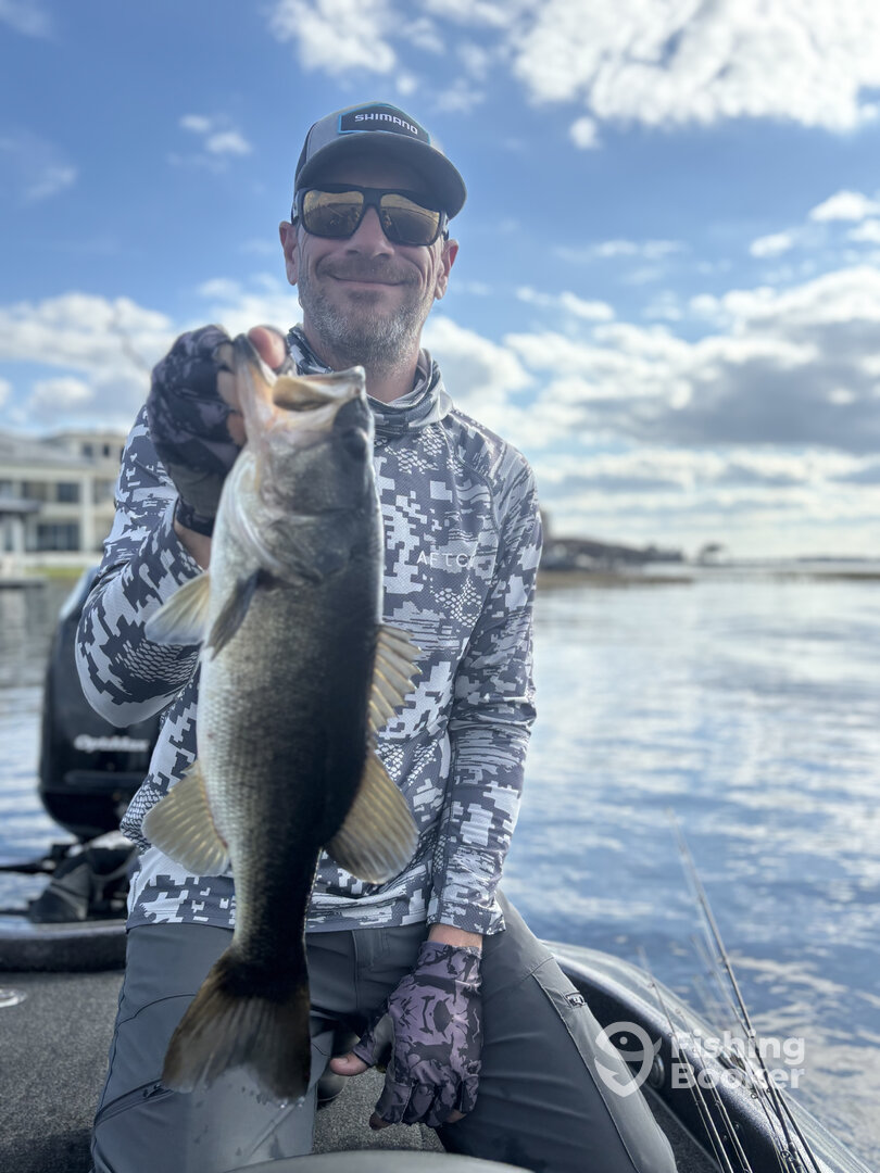 Orlando Report Photo 0