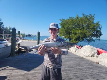 Nice little king fish this on this morni