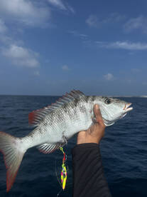 Maldives Report Photo 2