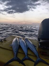 Playa Flamingo Report Photo 2