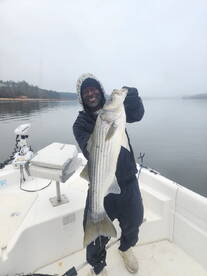 StripedBass  & Hybride StripedBass