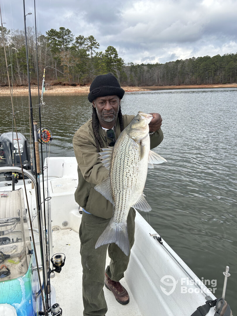 Atlanta Report Photo 0