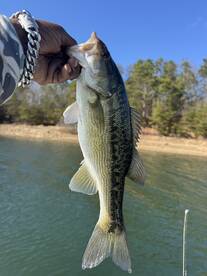 Atlanta Report Photo 2