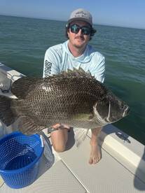 Pinellas County Report Photo 3