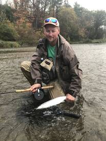 Mississauga Report Photo 2