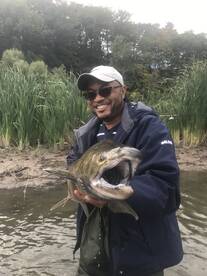 Mississauga Report Photo 1