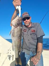 Dana Point Report Photo 1