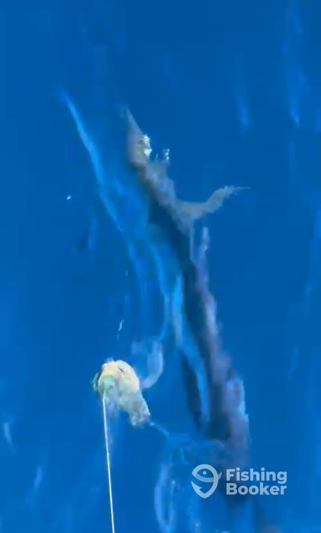 San Juan Report Photo 0