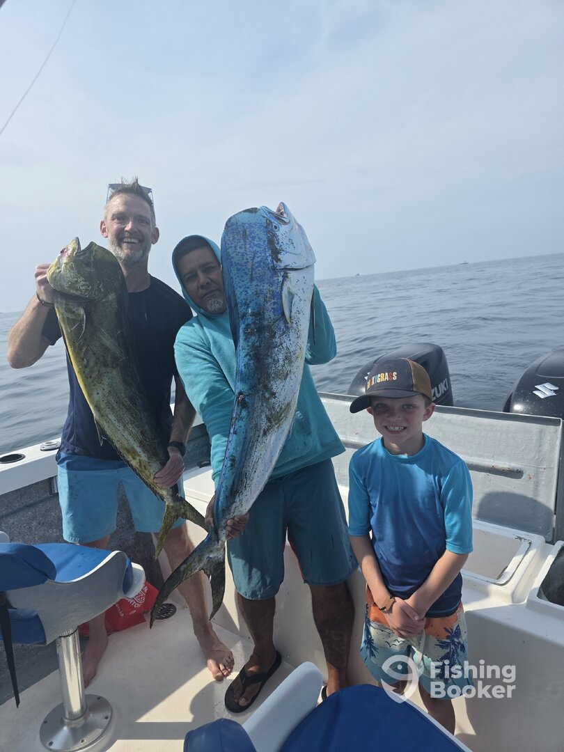 Puerto Vallarta Report Photo 0