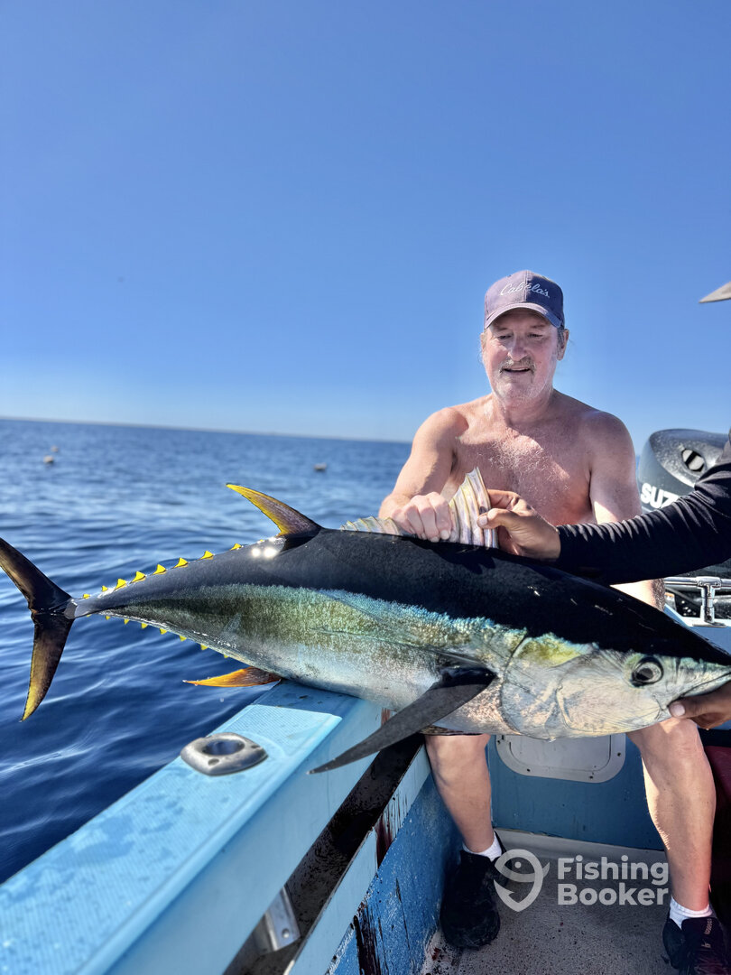 San Jose del Cabo Report Photo 0