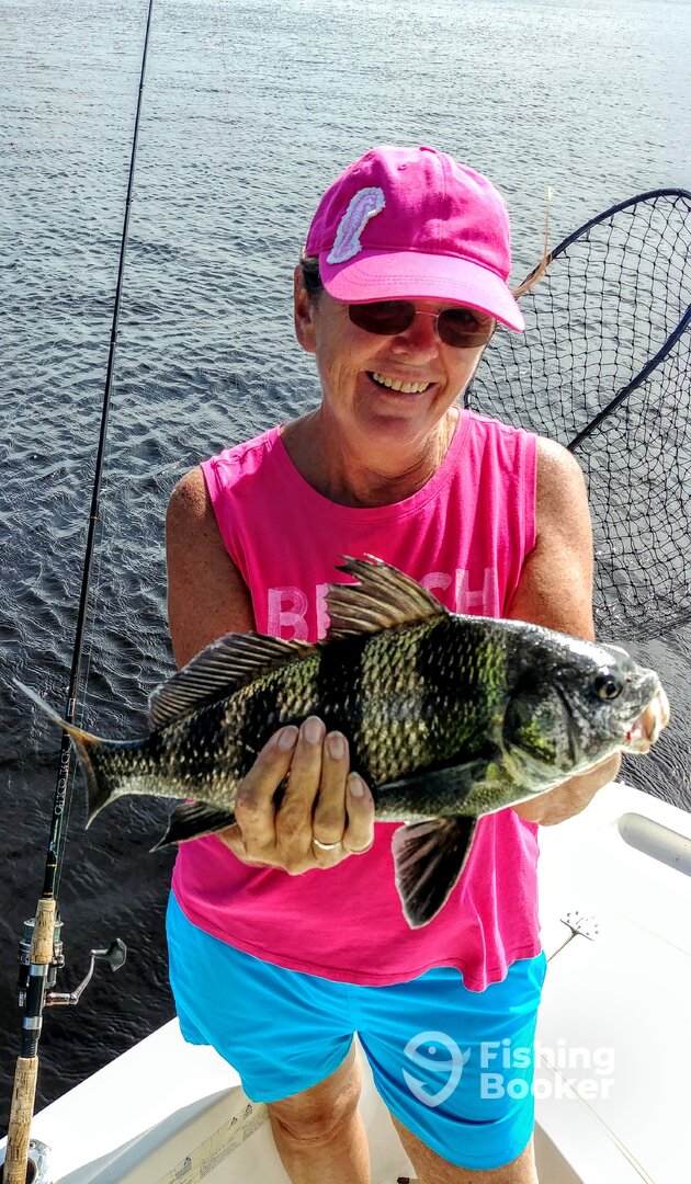 Port Orange Report Photo 0