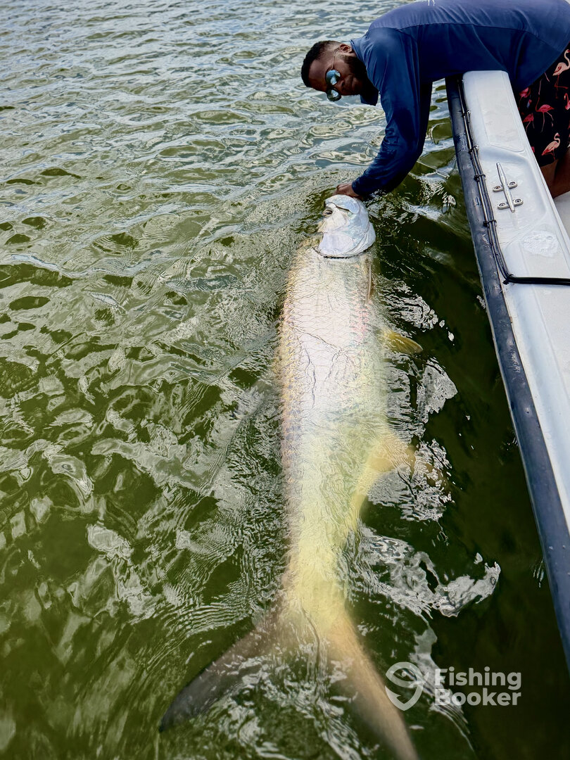 San Juan Report Photo 0