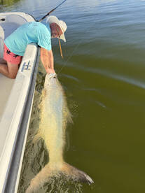 Puerto Rico Report Photo 1