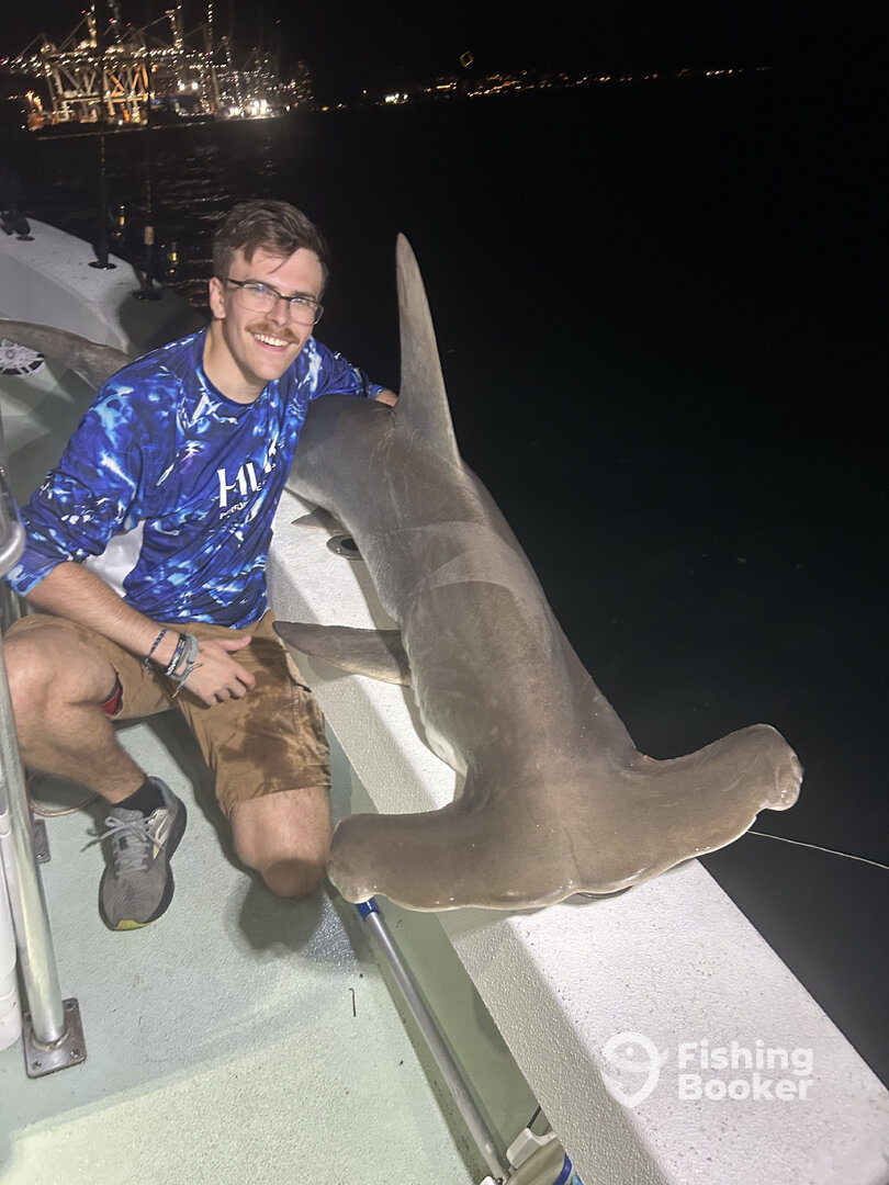 Miami Report Photo 0