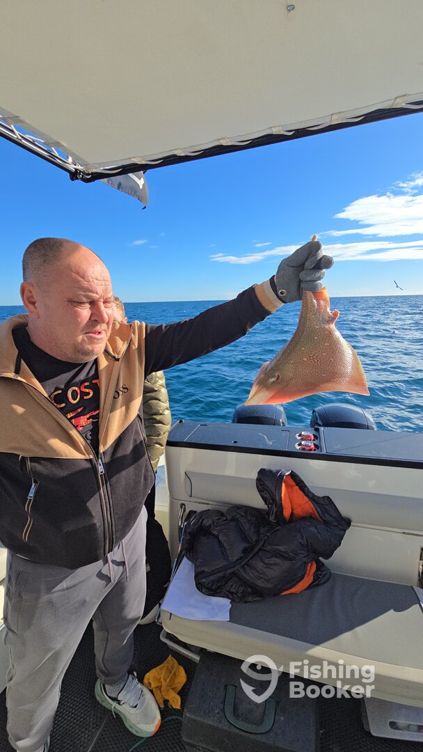 Valencian Community Report Photo 0