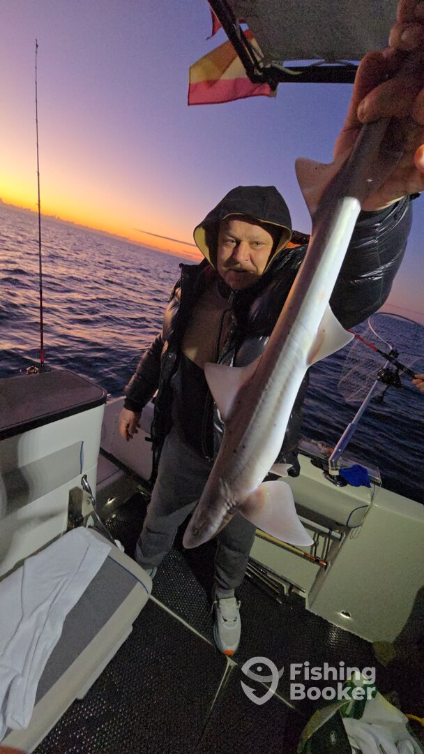 Spain Report Photo 0