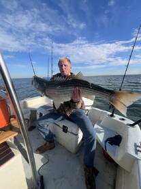 Trohpy Rock fish are still around