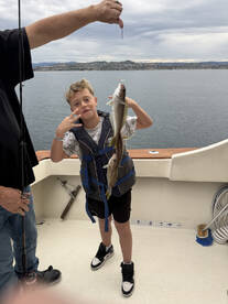 Catalina Island Report Photo 1