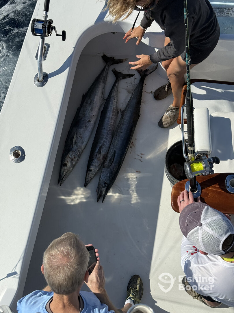 Palm Beach Report Photo 0