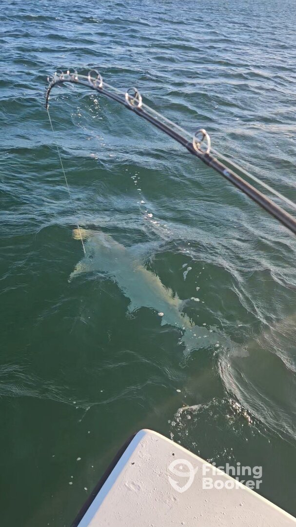 Stock Island Report Photo 0