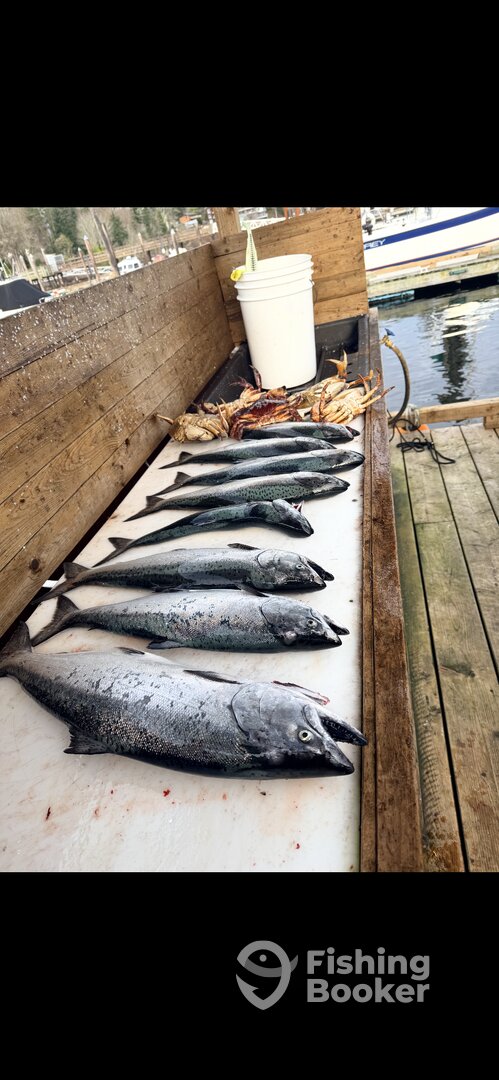 Canada Report Photo 0