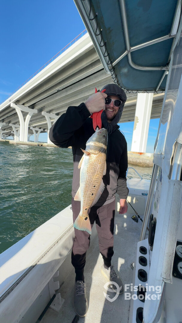 Pensacola Report Photo 0