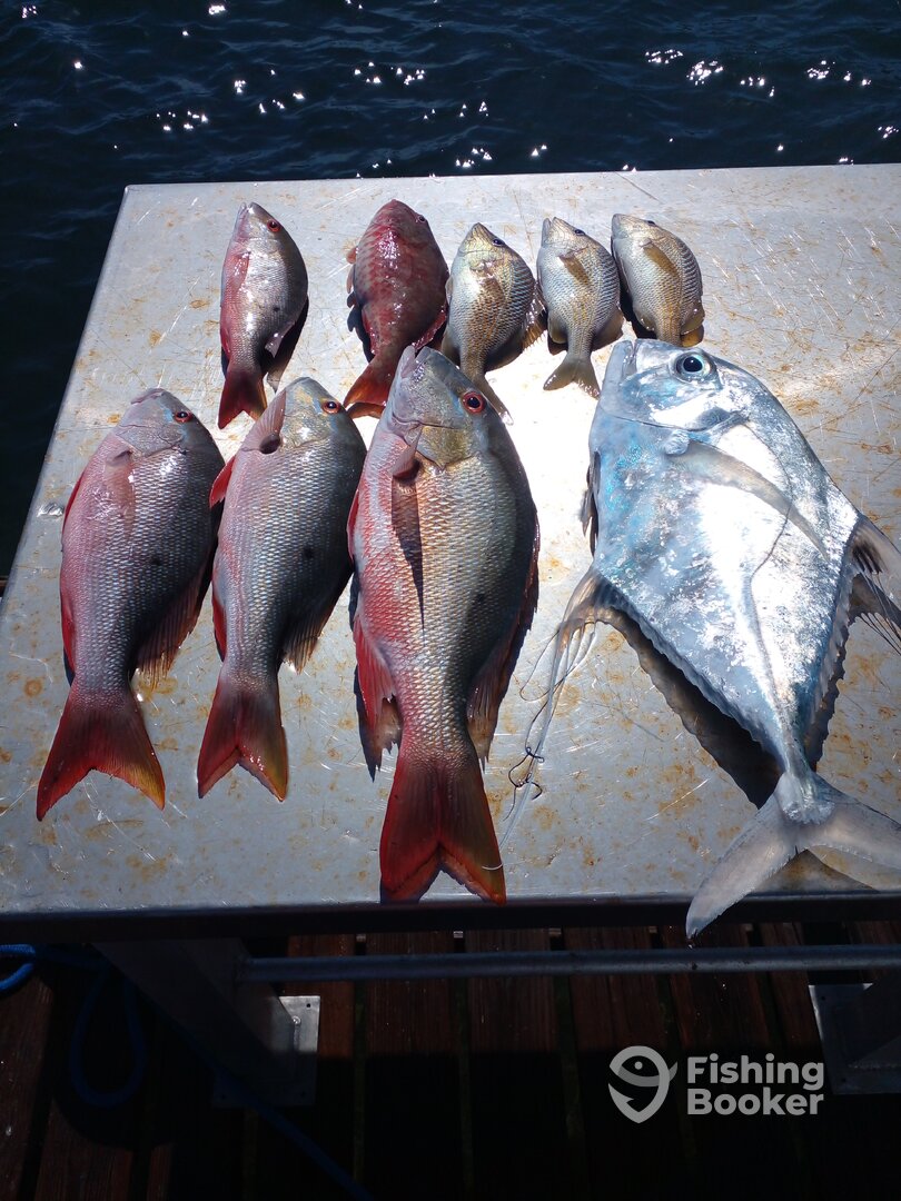 Cayman Islands Report Photo 0