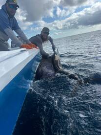 Herradura Report Photo 2