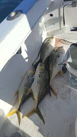 an amazing day of fishing