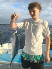 Sunny Morning Bonito Action