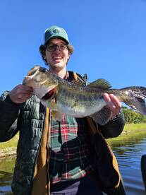 DC CAME IN ROCKED the House 