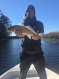 Mount Pleasant Report Photo 2