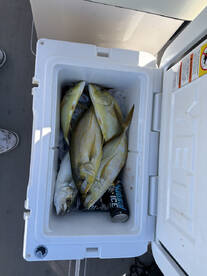 Key Biscayne Report Photo 1