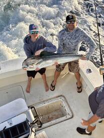 Nice Mahi to start the new year 