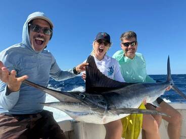 Cabo San Lucas Report Photo 1