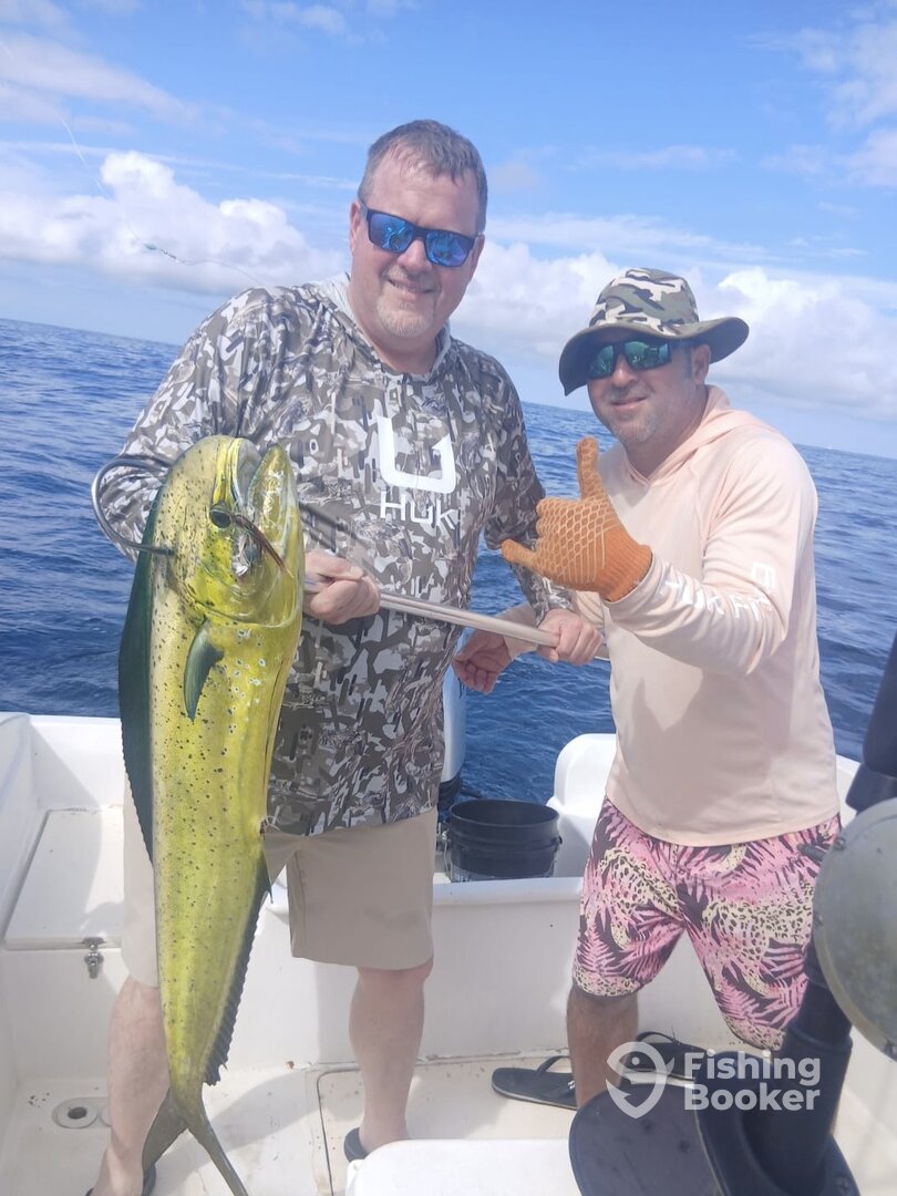 Herradura Report Photo 0