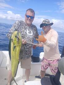 The sailfish... well, there will be reve