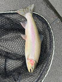 Manistee River Report Photo 2