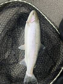 Great Lakes Report Photo 4