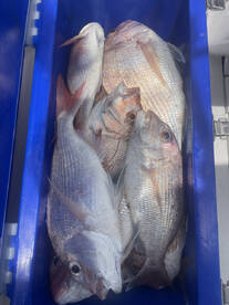 A great family day out on the water 