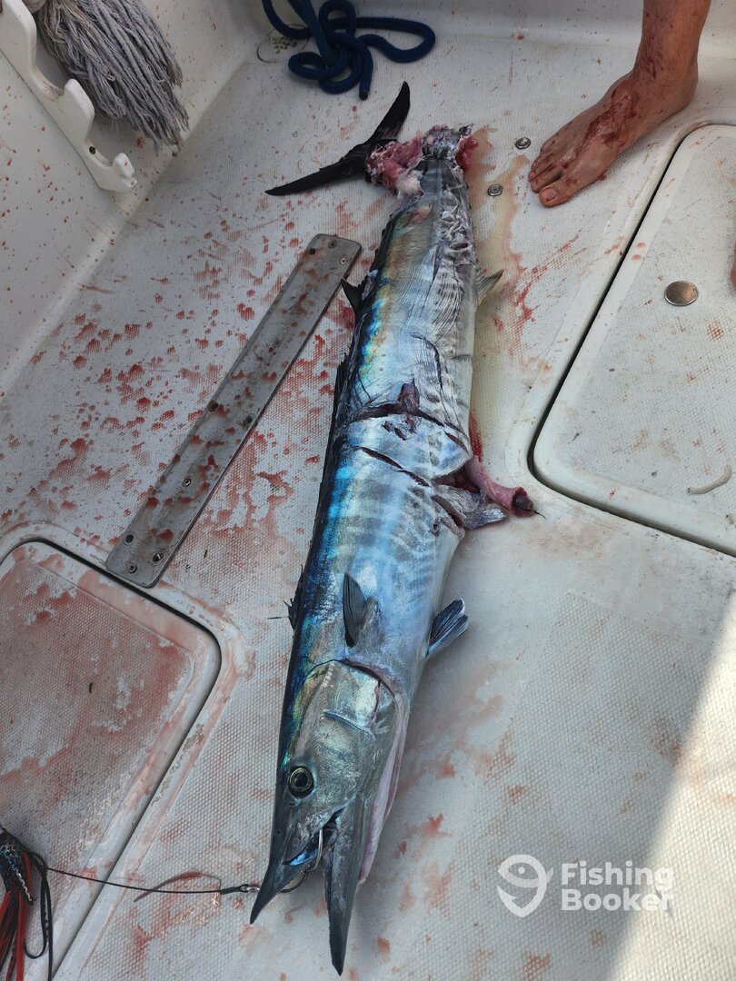 Nassau Report Photo 0