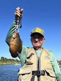 Fort Lauderdale Report Photo 2