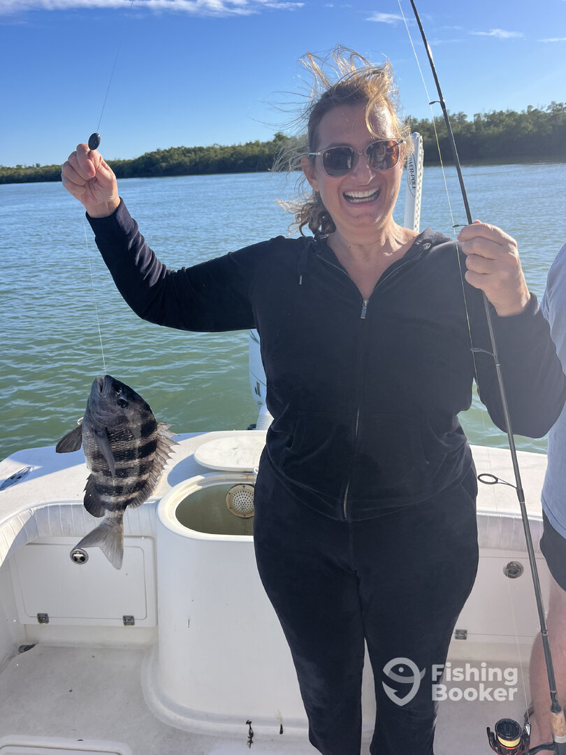 Marco Island Report Photo 0